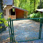 Chalet Montana - Hot Tub, Sauna, Playstation Alpstuga *